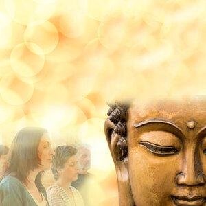 Vipassana Iland Banner